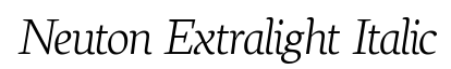 Neuton Extralight Italic