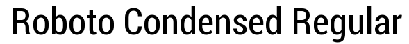 Roboto Condensed Bold Italic