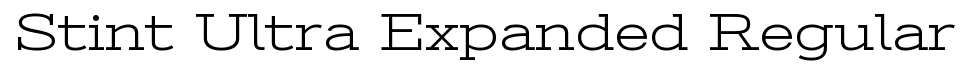 Stint Ultra Expanded
