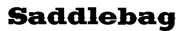 Saddlebag