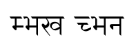 Dev Regular