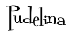 Pudelina