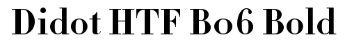 Didot