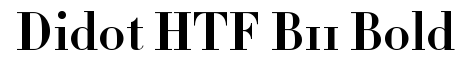 Didot-HTF-B11-Bold