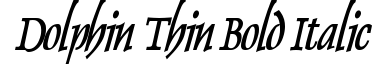 Dolphin Thin Bold Italic