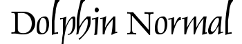Dolphin Normal