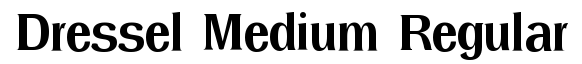 Dressel Medium Regular