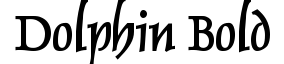 Dolphin Bold