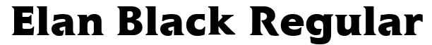Elan Black Regular