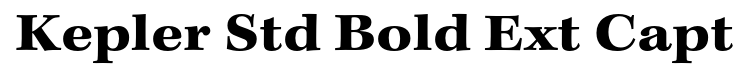 Kepler Std Bold Extended Caption