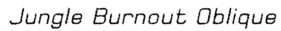 Jungle Burnout 1