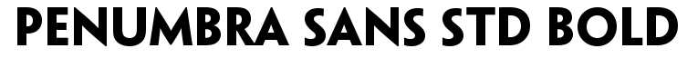 Penumbra Sans Std Bold
