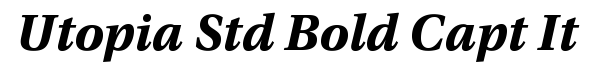 Utopia Std Bold Caption Italic