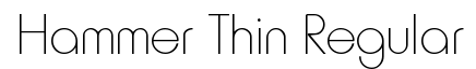 Hammer Thin Regular
