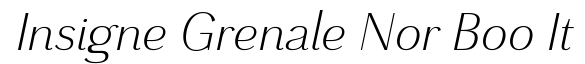 Grenale Norm Book Italic