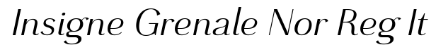 Grenale Norm Regular Italic