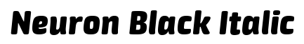 Neuron Black Italic
