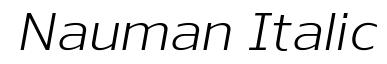 Nauman Italic
