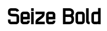 Seize Bold