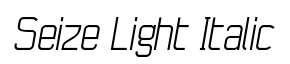 Seize Light Italic