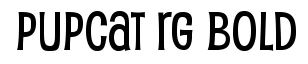 Pupcat Rg-Bold
