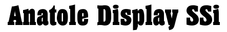 Anatole Display SSi