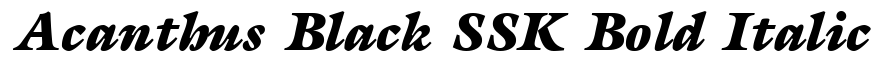 Acanthus Black SSK Bold Italic