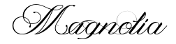 Magnolia Italic