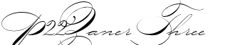 P22Zaner Three