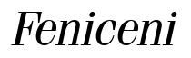 Fenice Regular Italic BT