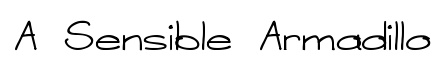 A Sensible Armadillo Regular
