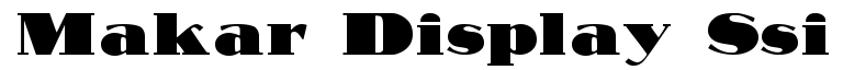 Makar Display SSi
