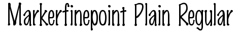 Marker Fine Point-Plain Regular