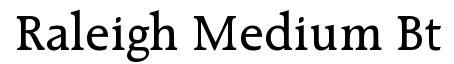 Raleigh Medium BT