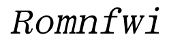 Roman Fixed Width Italic