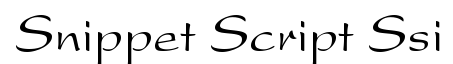 Snippet Script SSi