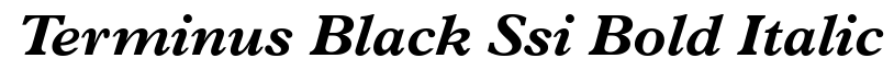 Terminus Black SSi Bold Italic