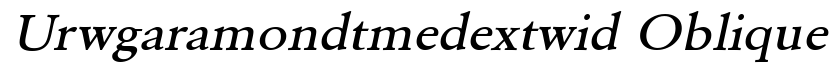 URWGaramond TMed Ext Wid Oblique