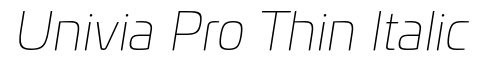 Univia Pro Thin Italic