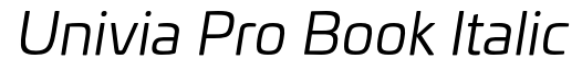Univia Pro Book Italic