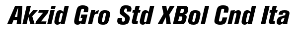 Akzidenz-Grotesk Std XBd Cnd It