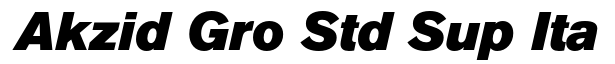 Akzidenz-Grotesk Std Super It