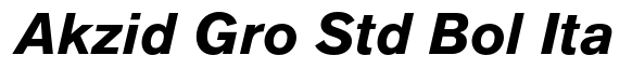 Akzidenz-Grotesk Std Bold It