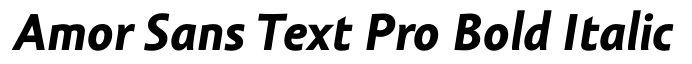 Amor Sans Text Pro Bold Italic
