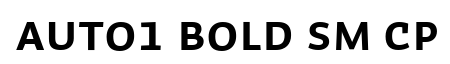 Auto 1 Bold Sm Cp
