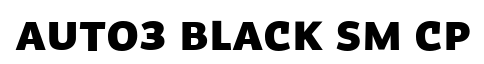 Auto 3 Black Sm Cp