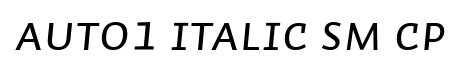 Auto 1 Italic Sm Cp