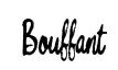 Bouffant