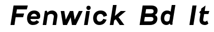 Fenwick Rg-Bold Italic