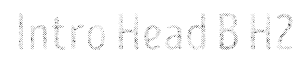 Intro Head B H2